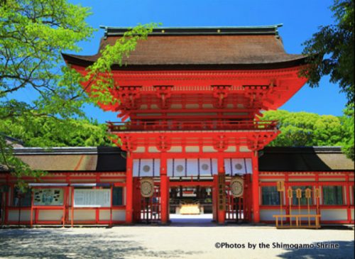  ◯下鴨神社の本殿前で、ラグビーワールドカップ2019日本大会の大会成功と全ての参加 チームの健康を祈願する。
