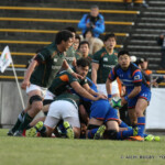 ラグビー 関連 ヴェルブリッツ - コンテンツ | トヨタイムズスポーツ